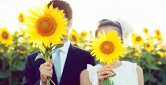 ���������ֵ���Ϊʲô���ã�