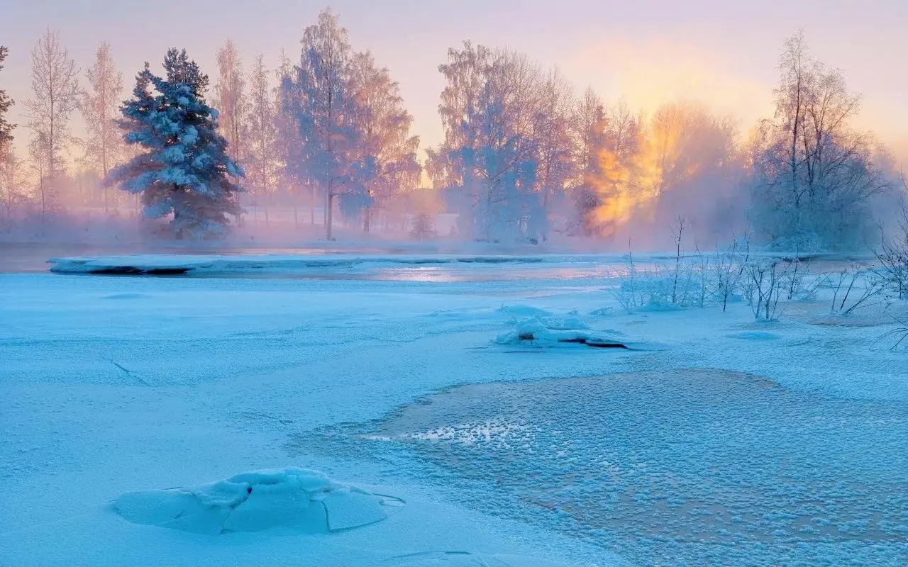 ����Ϊʲô����ȡ��������