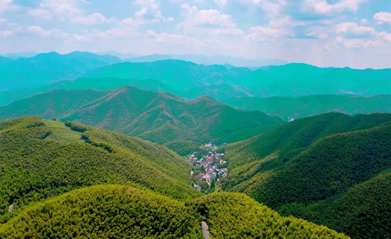 �����������ֵ��к�����