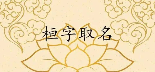 ����Ϊʲô����������������