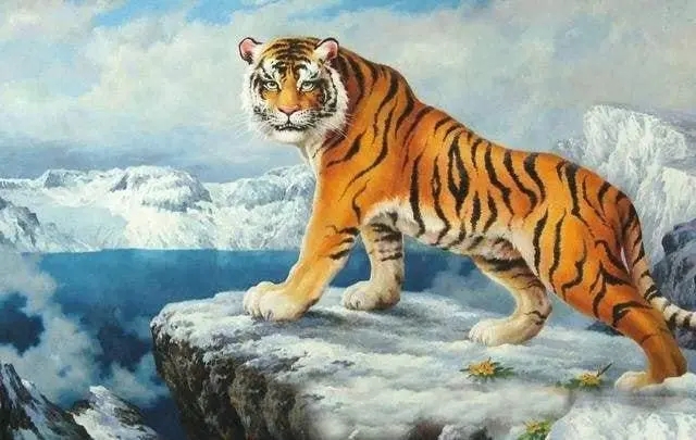 ������ɽ��ˮ�����ֵ�����2022���