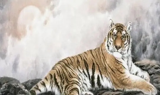 2022����ȱ�����ִ�ȫ��