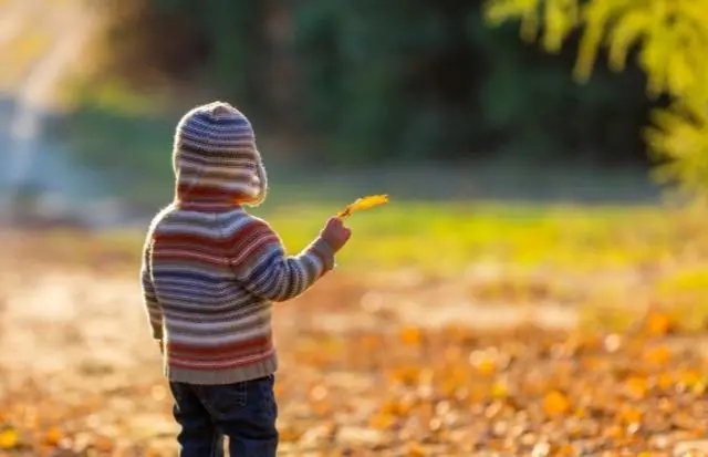 ����ȡ������𣿺���ȡ���ɻ估���׽���