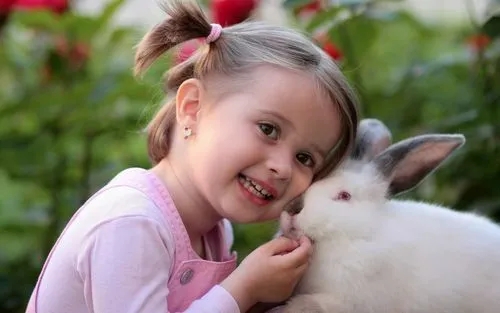 ʯ��Ů�����ִ�ȫ����100�� ������������