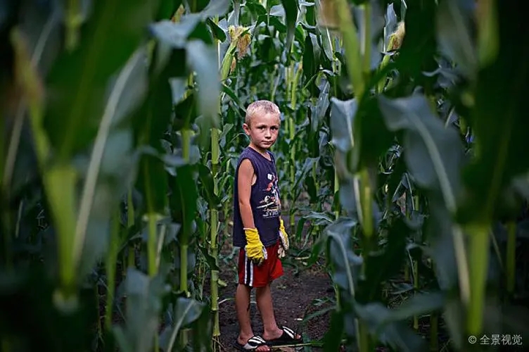 �S��ȡ����ѹס���S��ȡ���к����ִ�ȫ