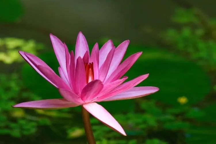 ������ض��������֣�������Ƶĵ������ִ�ȫ