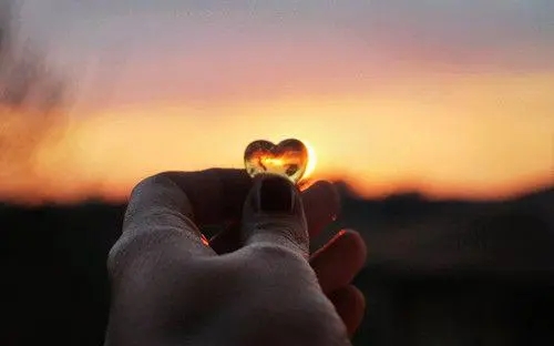 ����������ʲôȡ����Ԣ��ͽ�����ɶ������ȡ���к���Ԣ�������