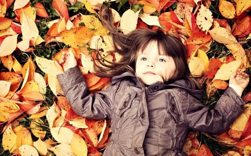 ������2023��Ѱ��������к�����ѡ��