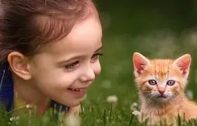 ������ȡ���ò��ã�������ô��������ʲôȡ��Ԣ��ͽ���