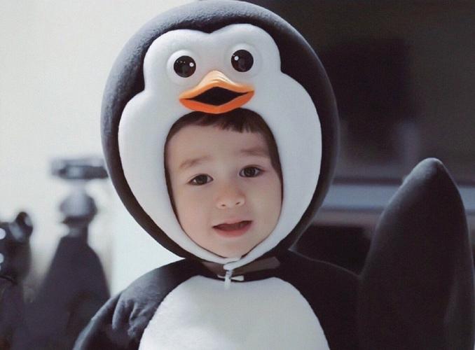 ����������ʲôȡ����Ԣ��ͼɻ䣬����ȡ���к���Ԣ�������