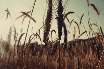 ����Ů������2022������