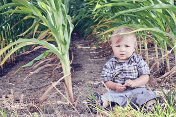 ����������ʲôȡ��Ԣ�⼰�ɻ䣬����ȡ���к���Ԣ�������