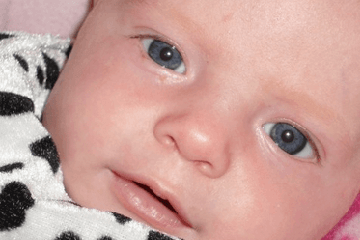 ������ô��������ʲôȡ��Ԣ�⼰���壬�����к�����������