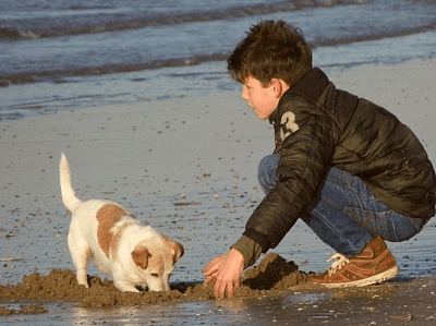 ����ȡ��Ԣ�����������ʲô��ô��������ȡ���к���Ԣ�������