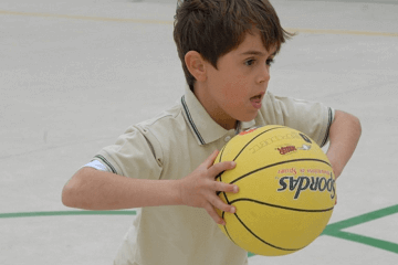 ��������2023�������к����ִ�ȫ