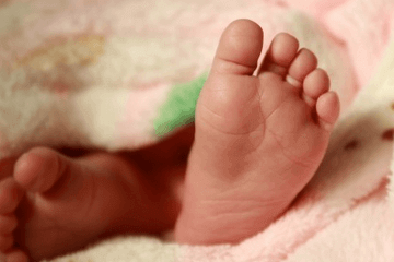 �����б���ȡ����ȫ2023��