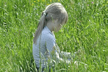 ������2023��Ѱ���������������