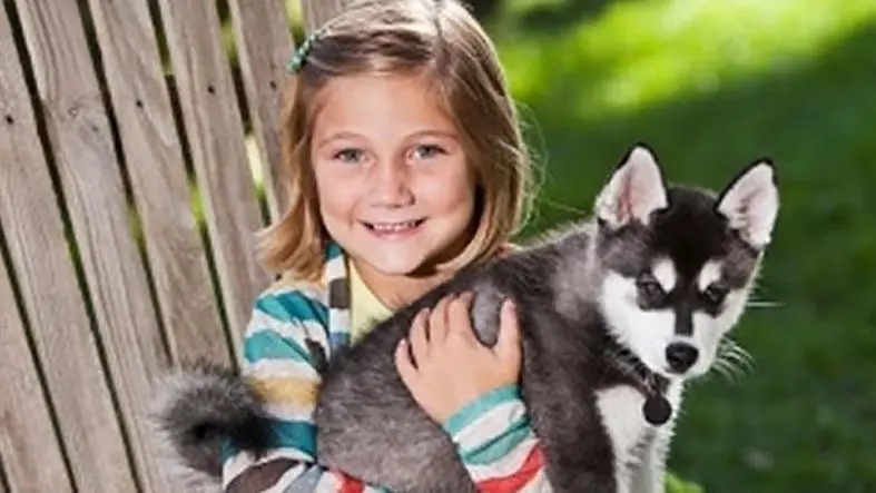 ����ȡ����Ԣ��