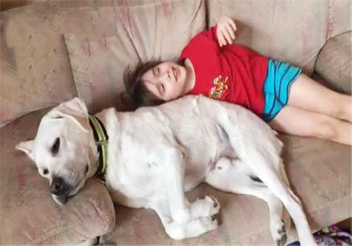 ����ȡ��Ԣ��������ʲô