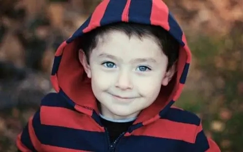 �к����ִ�ȫ2023���°�����ã�2023�����Ƽ���