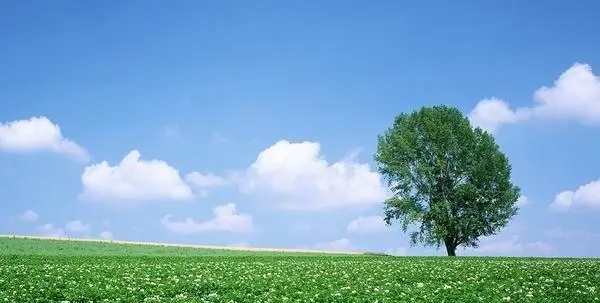 ����ȡ��Ů������Ԣ�⣬����Ů������������