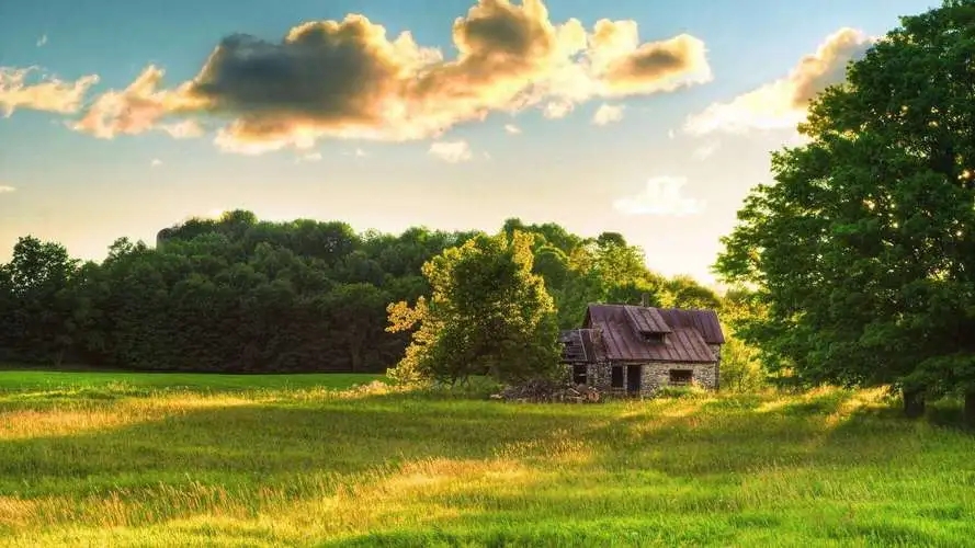 ������ô��������ʲô��������Ԣ�⣬��ȡ���к���Ԣ��