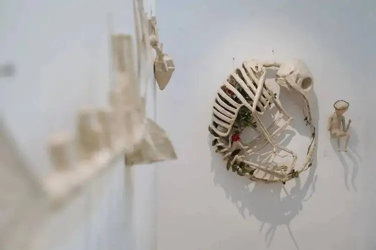 ͥ��������ʲôȡ����Ԣ��ͽ��ɣ�ͥ��ȡ���к����ִ�ȫ