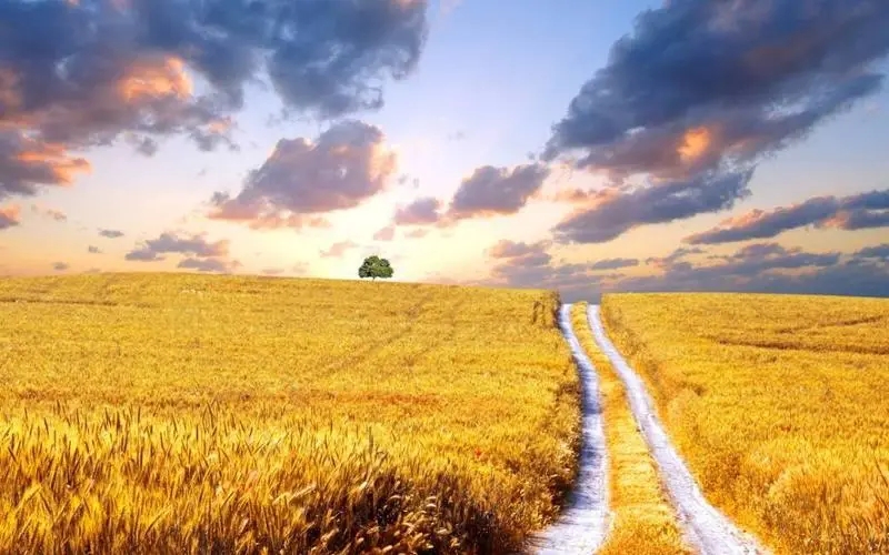 ɽԵĸŮЩɽԵĸŮִȫ