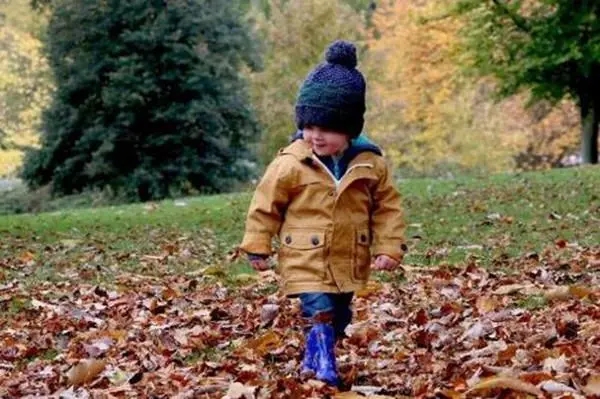 ����ȡ��Ԣ������������е�Ԣ�⣿����ȡ��Ԣ���к�����