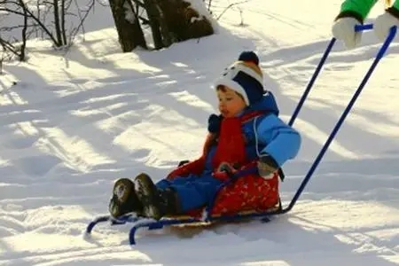 2023�ñ��������������ˮ�вݵ��ñ���С����