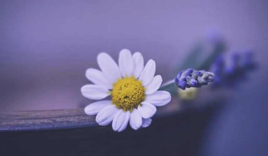 2023��Ů����ȡ���ִ�ȫ��ѣ�2023���ñ���ȡ��Ů������