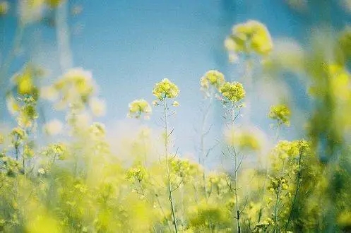 ����ȡ����Ԣ���к�������ȡ���к���Ԣ��