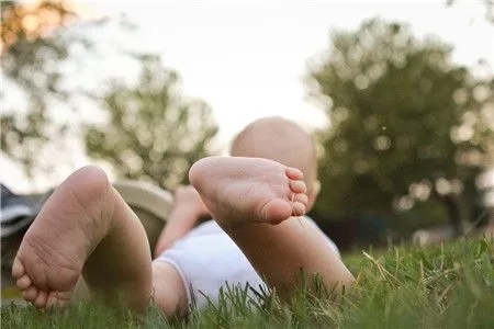 ����ȡ���ɻ�