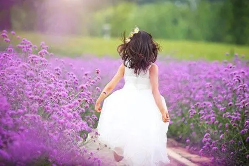 �����к����ִ�ȫ2023���ã������Ƽ���