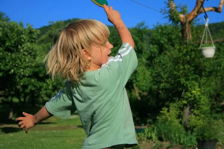 έ��ȡ����Ԣ��������ʲô��έ��ȡ���к���Ԣ�������