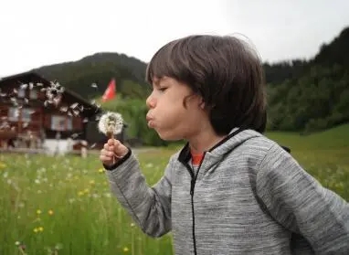 ����ϡ�ٵĵ����к����ִ�ȫ2023����