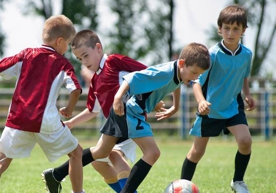 �F�ֵĺ���ȡ����Ԣ��������ʲô���F��ȡ���к���Ԣ�������