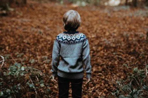 ���ֵ���������