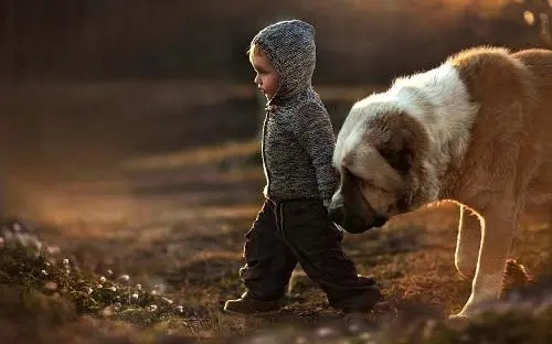 ŵ��ȡ���к���Ԣ�⣬�к���ŵ�ֵİ������ִ�ȫ