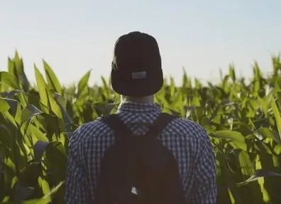 ����Ϊʲô���������֣�����������������