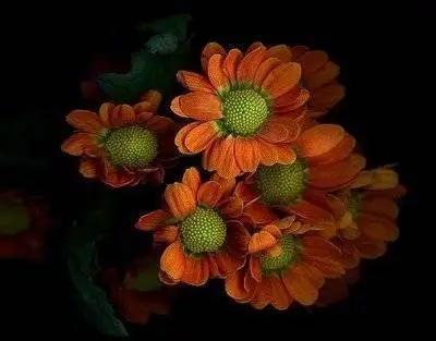 u=1826658579,3300490271&fm=253&fmt=auto&app=120&f=JPEG.webp.jpg