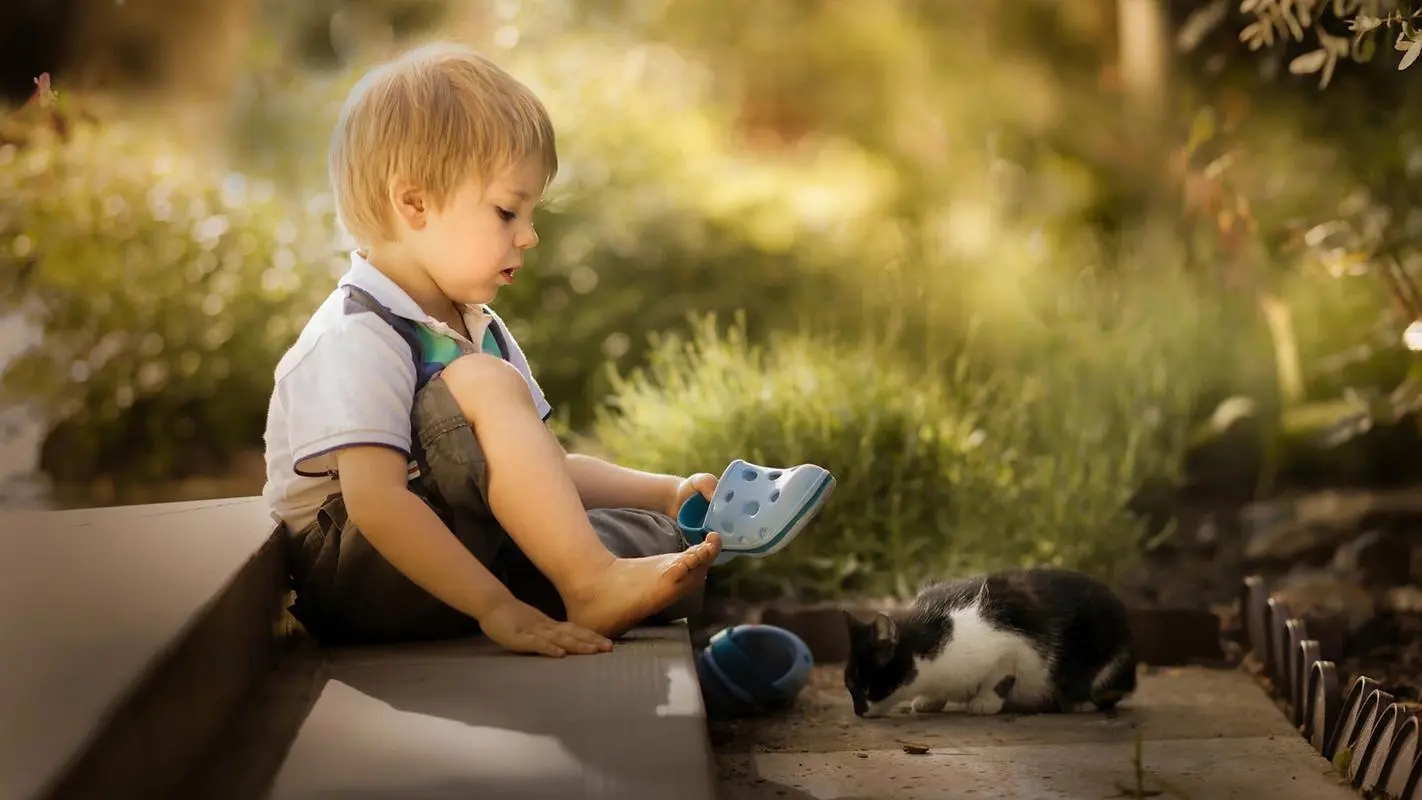 ����ȡ���к���Ԣ������ִ�ȫ