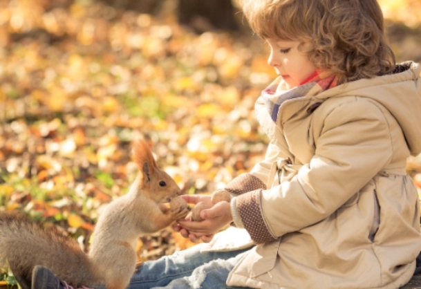 �����к�Ԣ��õ����ִ�ȫ�������򵥴�����ֵ���ղأ���