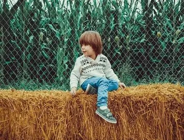 ���պ���ϡ�ٵ��к����֣������к�������ȫ���