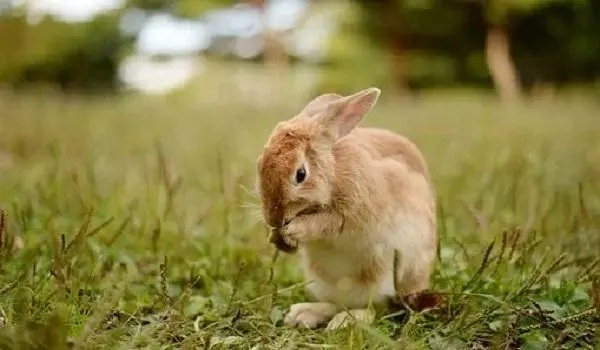 �����к�����2023�����ã������򵥴�����ֵ���ղأ���