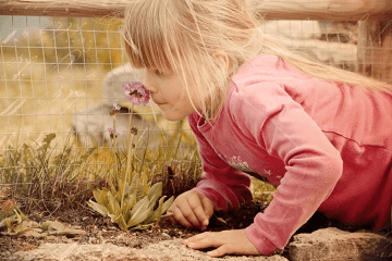 ������2023�������Ů������ѣ����°棩