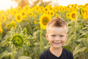 ������2023��������б��������°棩