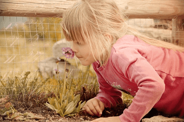 ����������ʲôȡ����Ԣ��ͽ��ɣ����ֵ�Ů�����ִ�Ԣ��