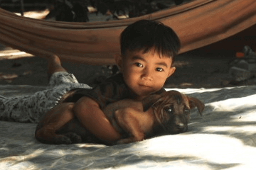 2023�������к������� �����к����������