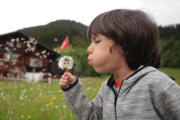 �к����ó��Ȱ������֣�2023���¿